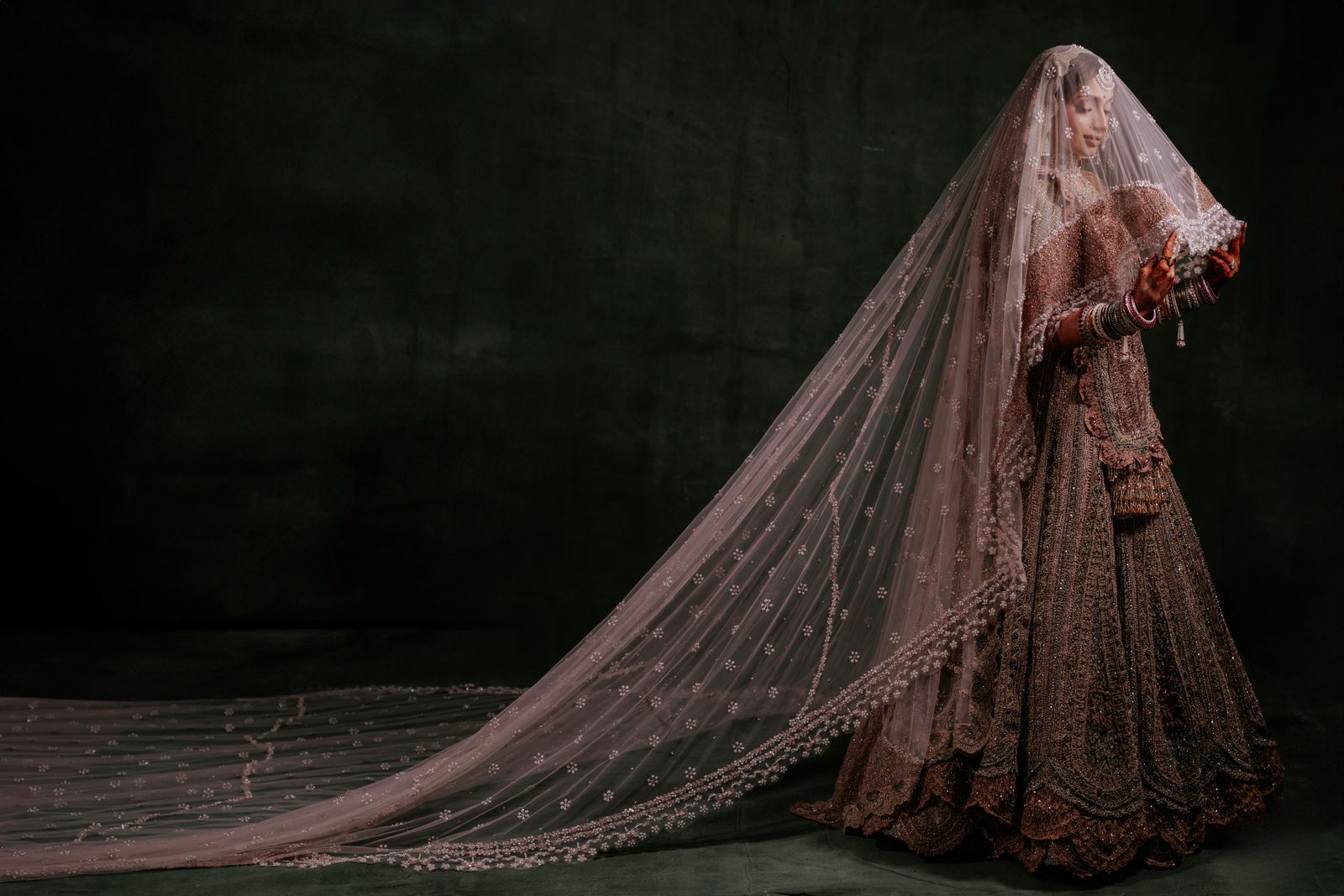 Image may contain Bridal Veil Clothing Dress Fashion Formal Wear Gown Person Wedding Wedding Gown and Veil